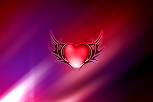 Wings of Love9074512196 300x200 - Wings of Love - Wings, Love